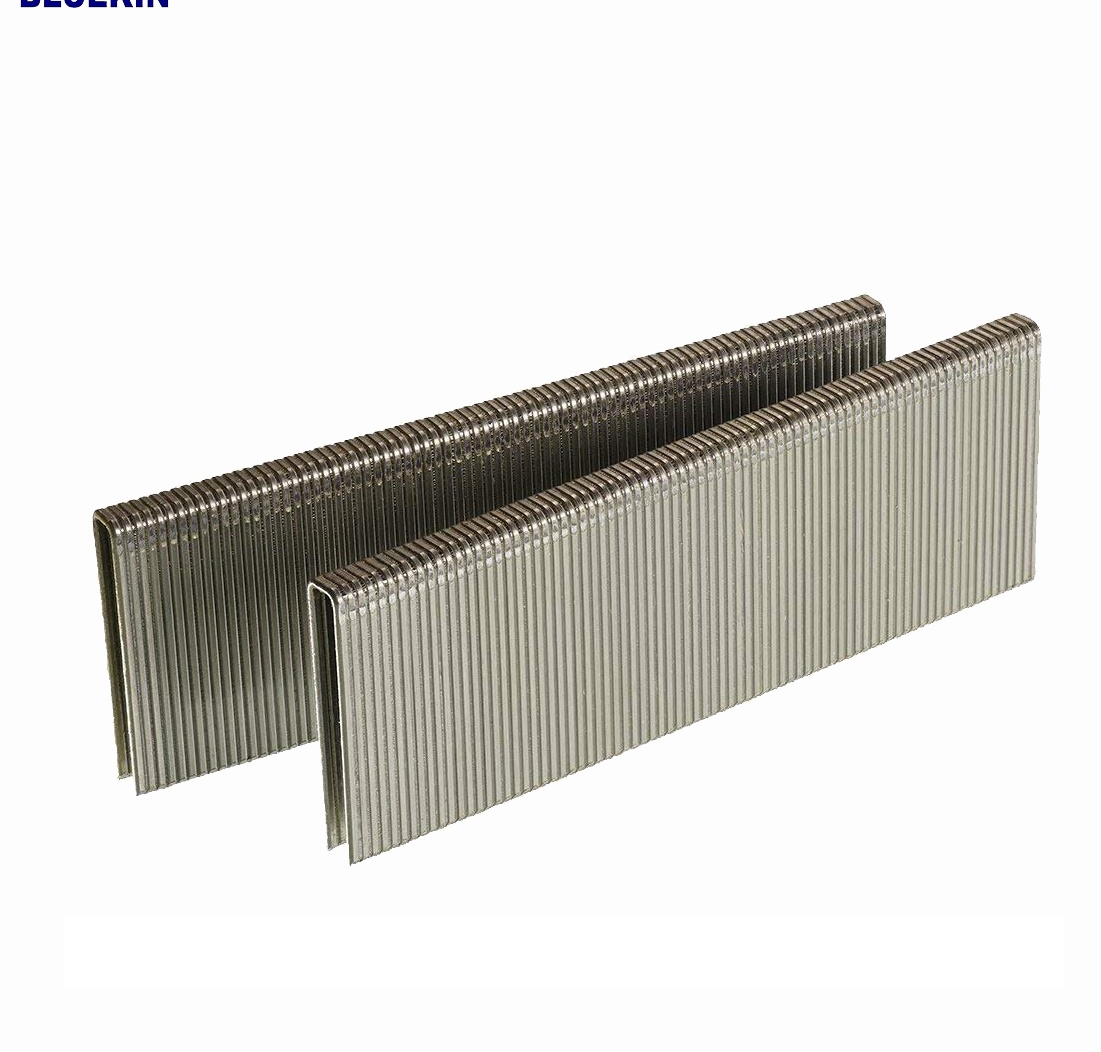 Heavy Duty Galvanized Staples thumbnail 2