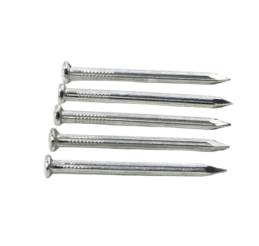 Galvanized Concrete Steel Nails